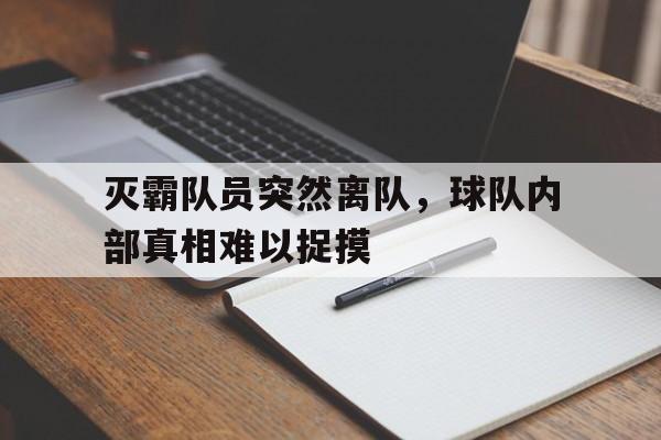 滨江江南体育中心-关于灭霸队员突然离队，球队内部真相难以捉摸的信息